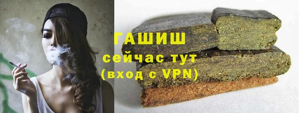 ГАЛЛЮЦИНОГЕННЫЕ ГРИБЫ Гусев