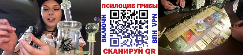 Галлюциногенные грибы Psilocybine cubensis  купить  цена  Вятские Поляны 