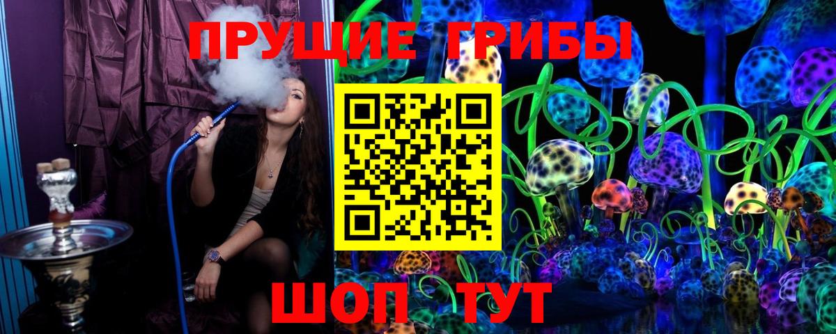 Псилоцибиновые грибы Magic Shrooms Вятские Поляны
