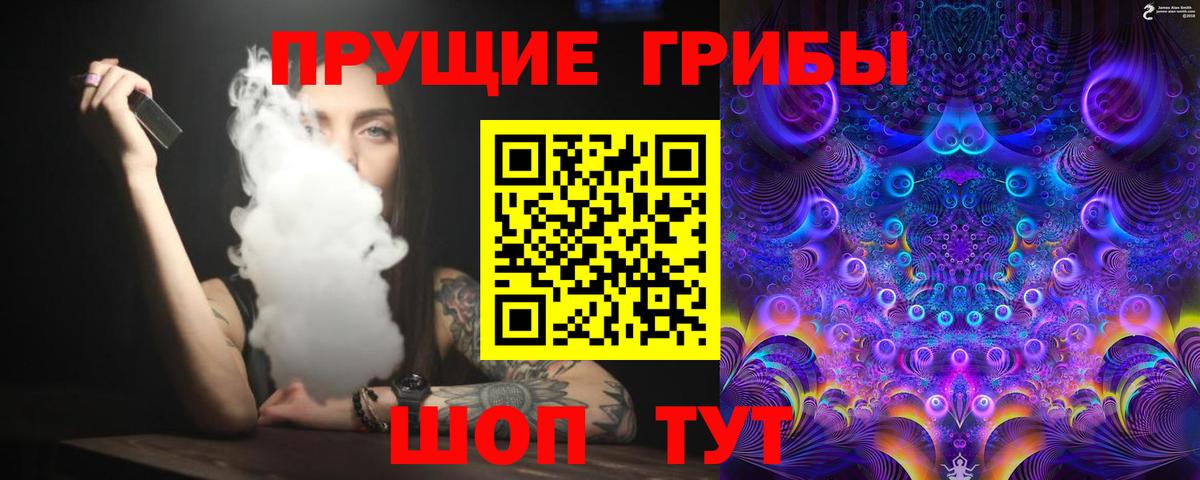 сколько стоит  Вятские Поляны  Псилоцибиновые грибы Cubensis 